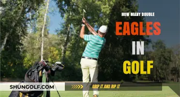 Golf's Rare Double Eagles: How Many Holes-in-One?