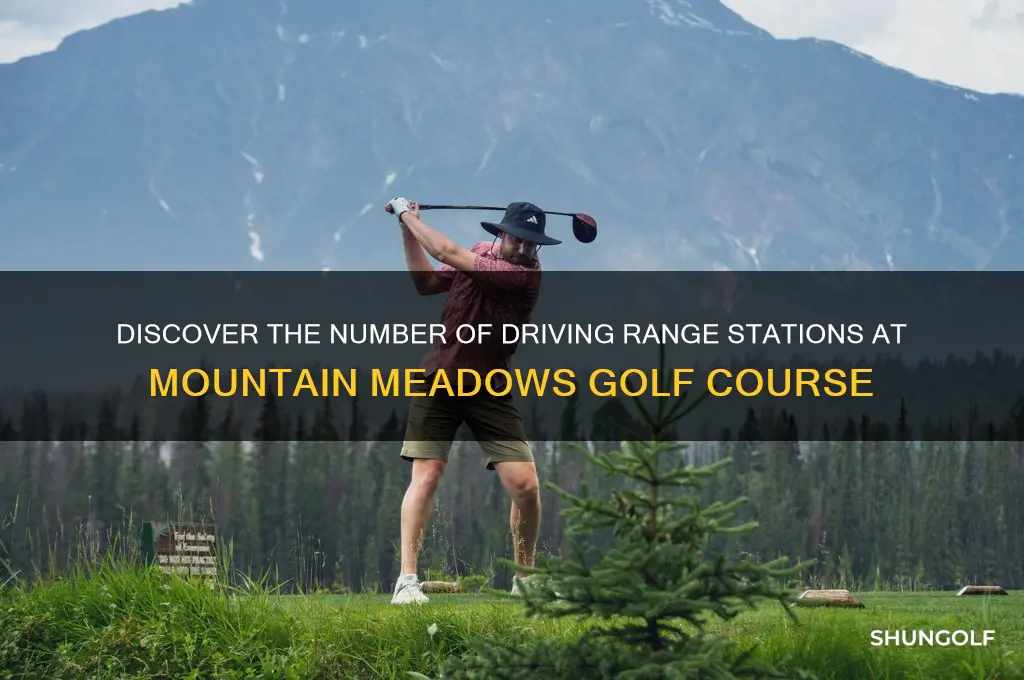 how many driving range stations at mountain meadows golf course