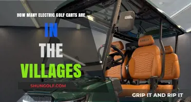 Electric Golf Carts in The Villages: Counting the Community's Green Fleet