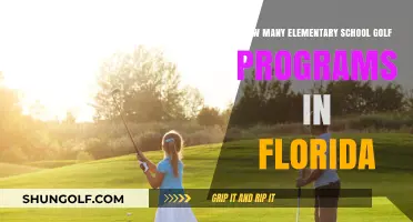 Exploring Florida's Elementary School Golf Programs: A Comprehensive Overview