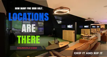Exploring the Number of Five Iron Golf Locations Nationwide