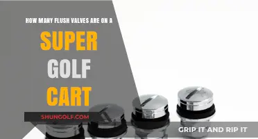Exploring Flush Valves on Super Golf Carts: A Comprehensive Guide