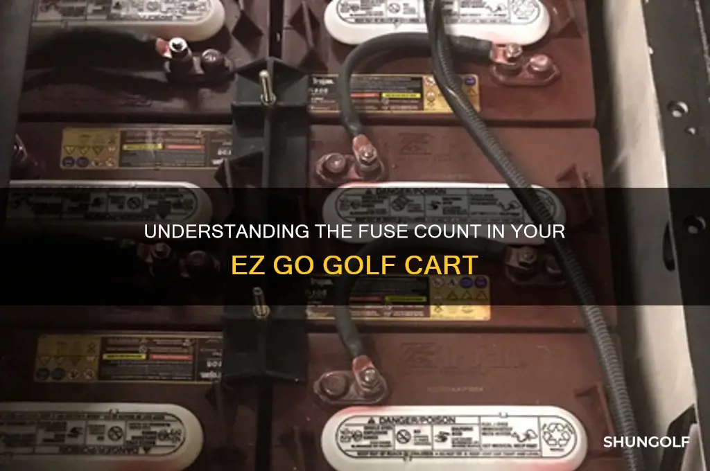 how many fuses does an ez go golf cart have