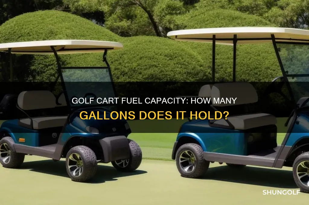 how many gallons does a golf cart hold