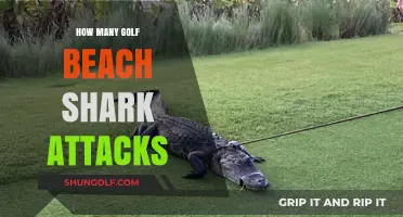 Golf Beaches: Shark Attacks and Safety