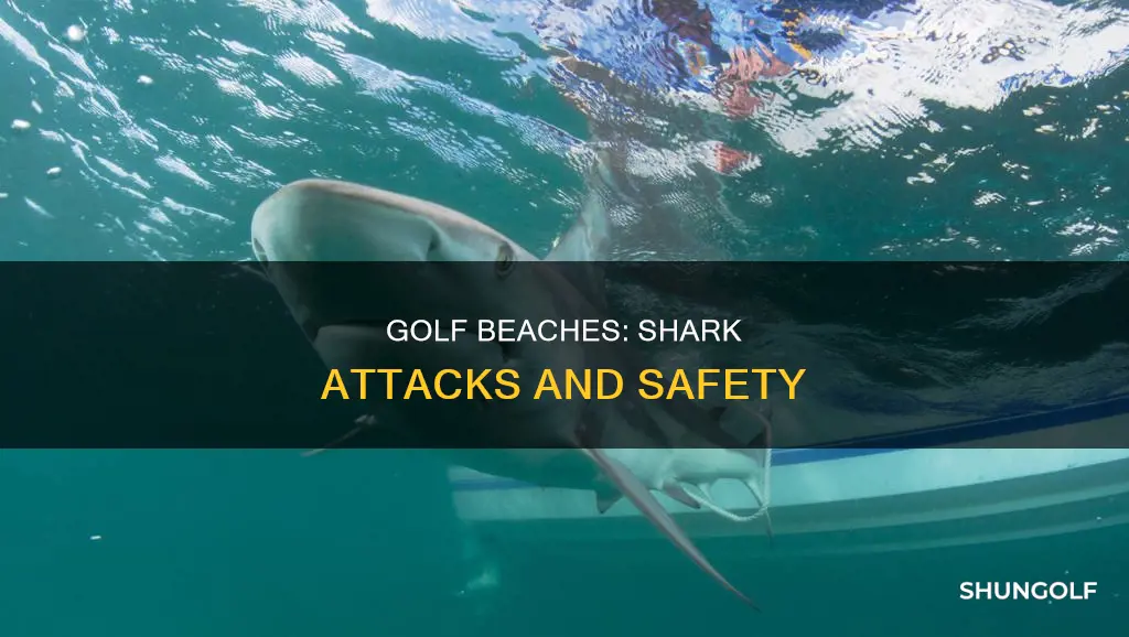 how many golf beach shark attacks