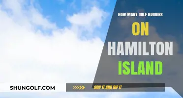 Exploring Hamilton Island: Golf Buggy Availability and Rental Guide
