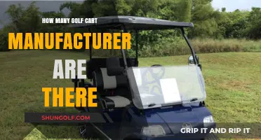 Exploring the Diverse World of Golf Cart Manufacturers: A Comprehensive Guide