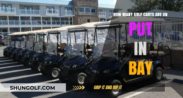 Exploring the Number of Golf Carts on Put-in-Bay Island