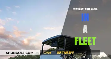 Maximizing Efficiency: Determining the Ideal Size of Your Golf Cart Fleet