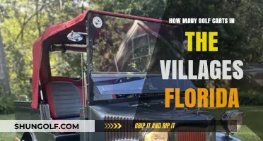 Exploring the Villages Florida: Uncovering the Golf Cart Population