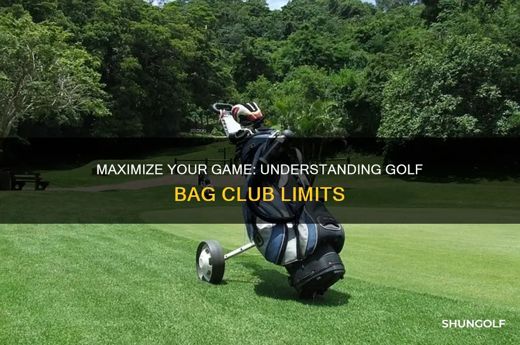 how many golf clubs allowed in a golf bag
