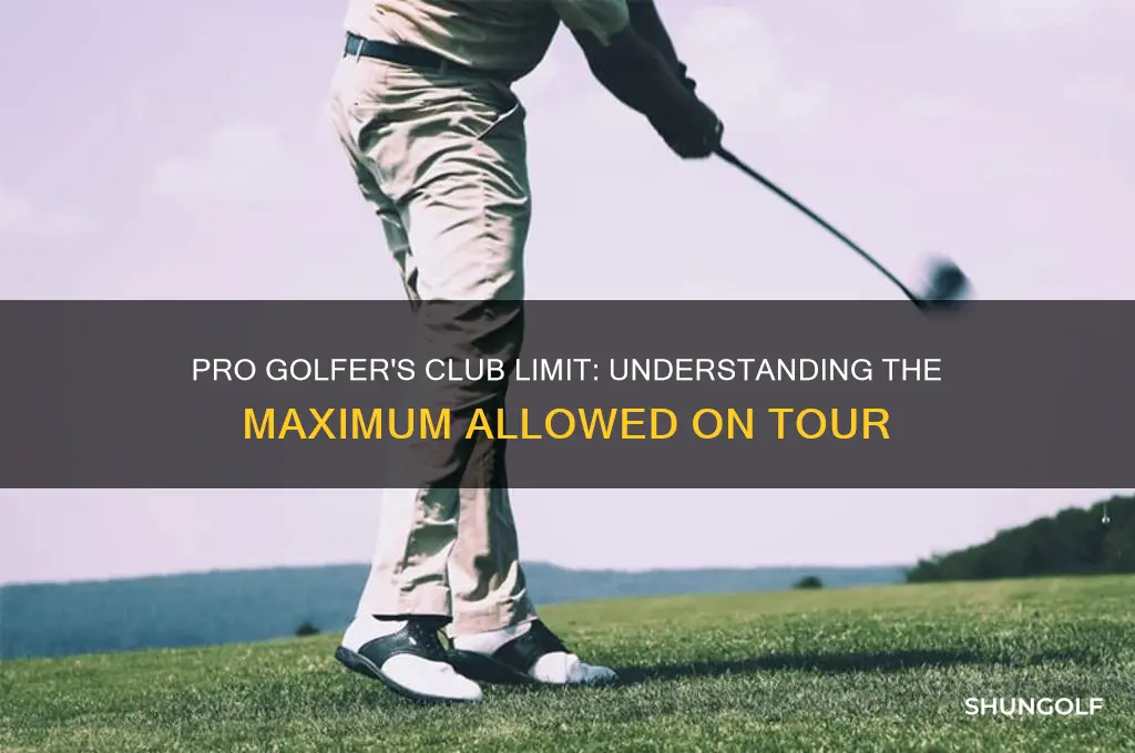 how many golf clubs can a pro carry