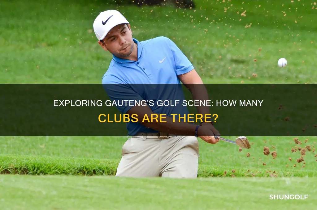 how many golf clubs in gauteng