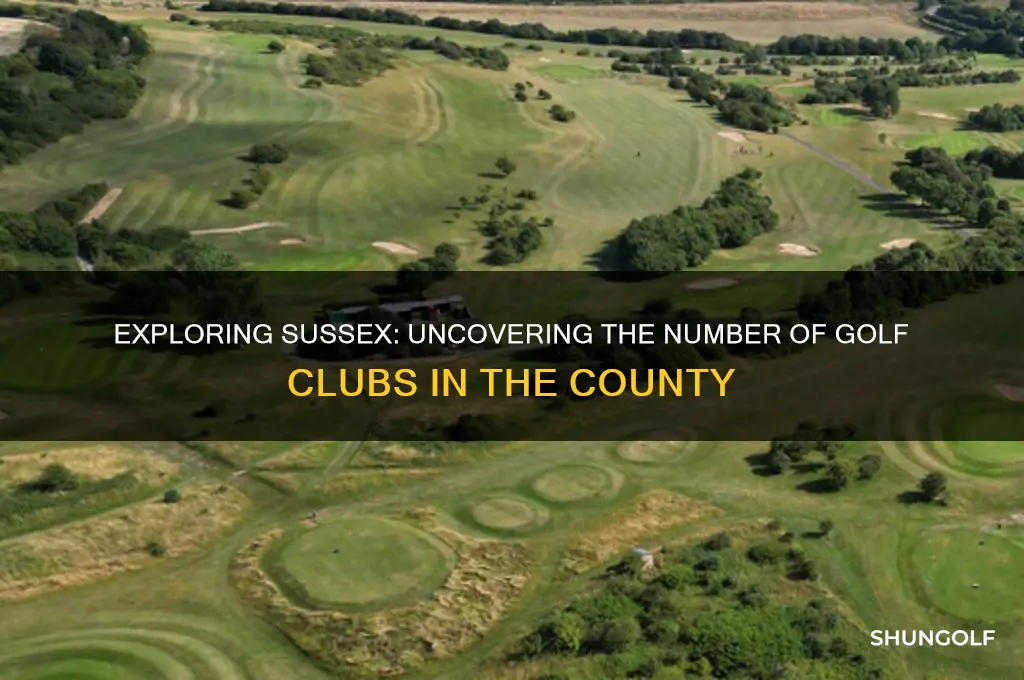 how many golf clubs in sussex
