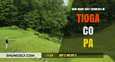 Exploring Tioga County, PA: Uncovering the Number of Golf Courses