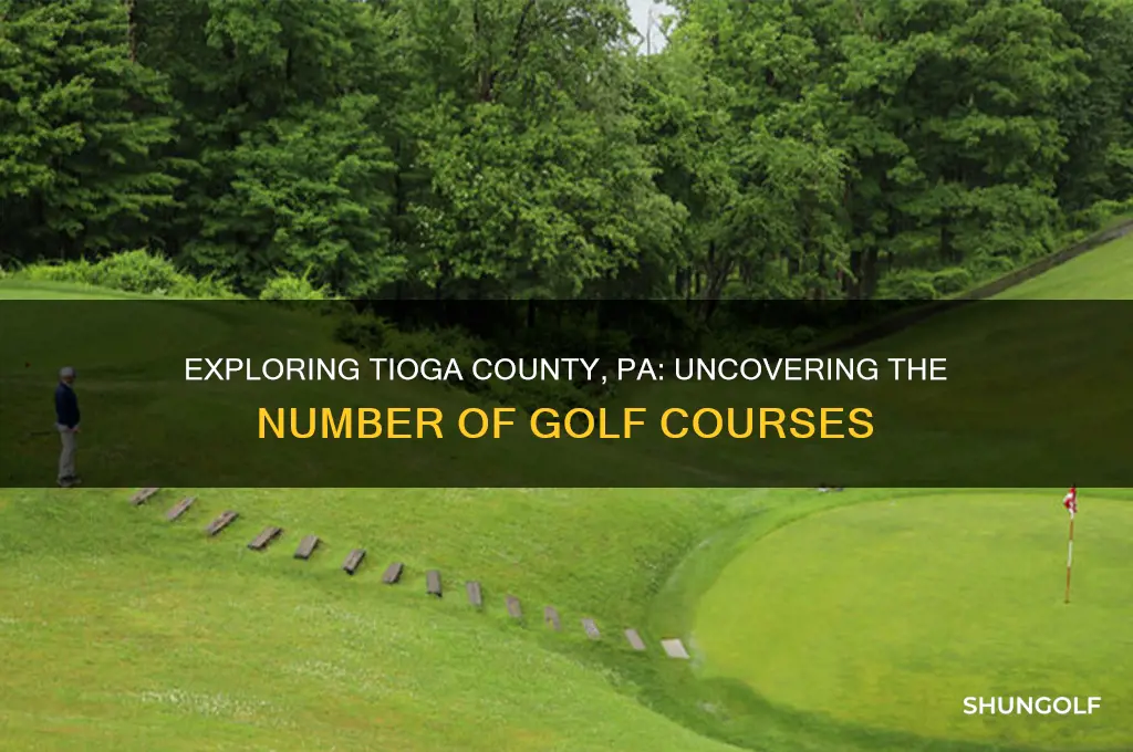 how many golf coureses in tioga co pa
