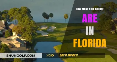 Exploring Florida's Golf Scene: How Many Courses Does the State Offer?