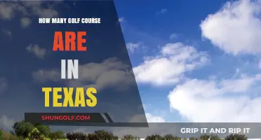 Exploring Texas' Golf Scene: How Many Courses Does the State Offer?