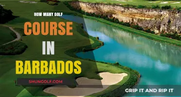 Exploring Barbados' Golf Courses: A Comprehensive Guide to the Greens
