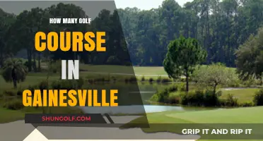 Exploring Gainesville's Golf Scene: How Many Courses Are There?