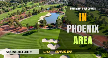 Exploring Phoenix: A Guide to the Area's Numerous Golf Courses