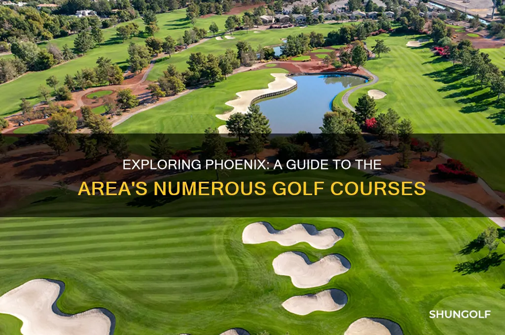 how many golf course in phoenix area