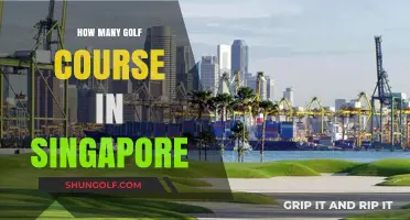 Exploring Singapore's Golf Scene: A Guide to Its Courses