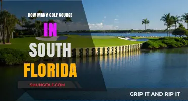 Exploring South Florida's Golf Scene: A Guide to Course Count