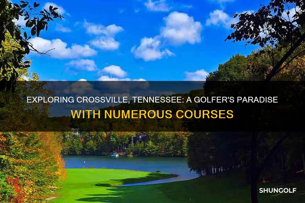 how many golf courses are around crossville tennessee