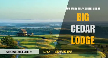 Exploring the Stunning Golf Courses at Big Cedar Lodge