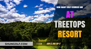 Exploring the Number of Golf Courses at Treetops Resort