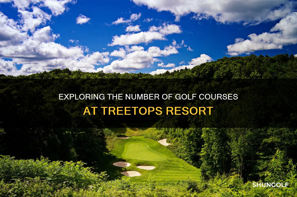 how many golf courses are at treetops resort