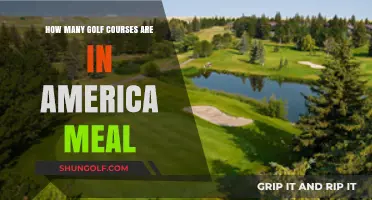 Exploring America's Golf Courses: A Comprehensive Count and Culinary Connection