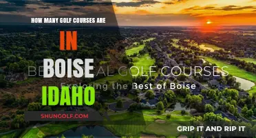 Exploring Boise's Golf Scene: How Many Courses Does It Offer?