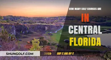 Exploring Central Florida's Golf Scene: A Comprehensive Course Count
