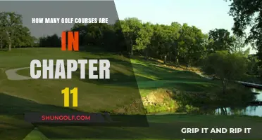 Exploring the Number of Golf Courses in Chapter 11 Bankruptcy