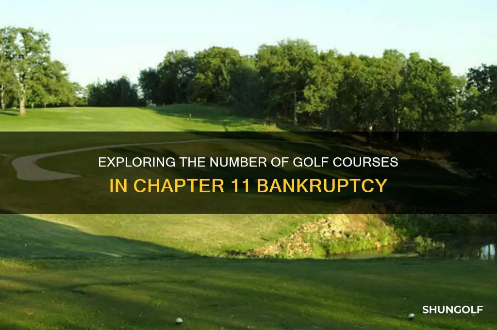 how many golf courses are in chapter 11