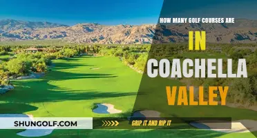Exploring Coachella Valley's Golf Scene: A Comprehensive Course Count
