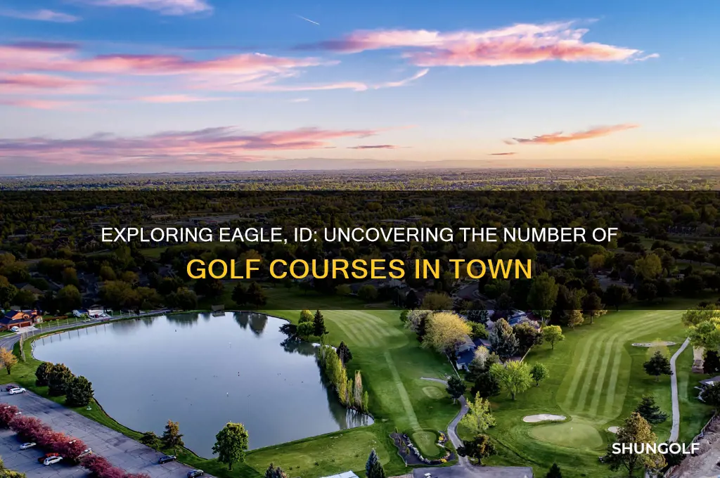 how many golf courses are in eagle id
