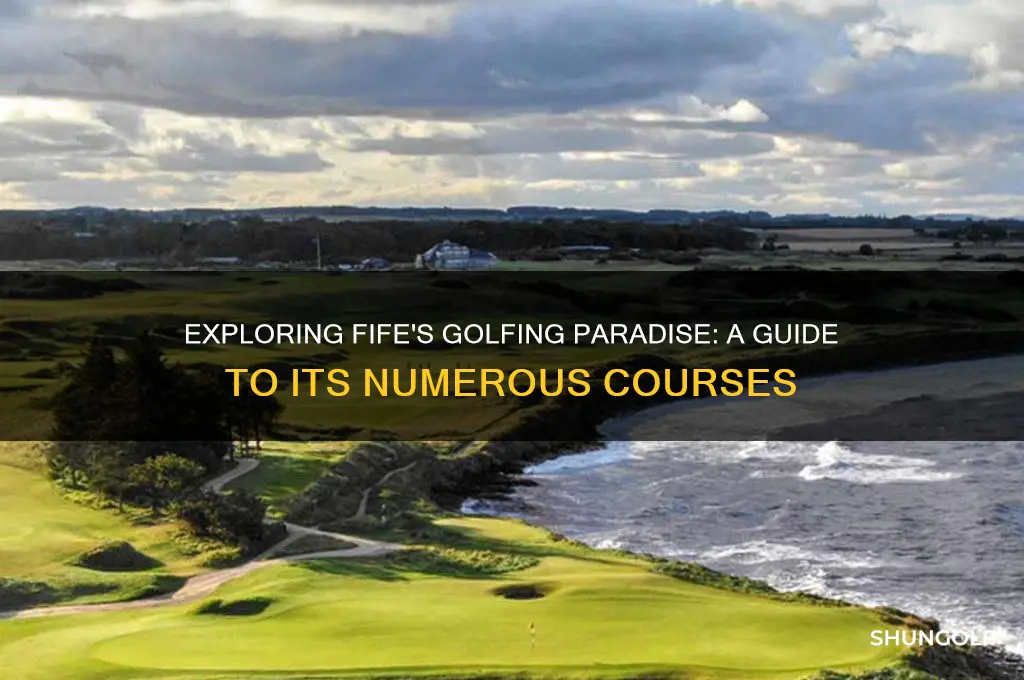 how many golf courses are in fife