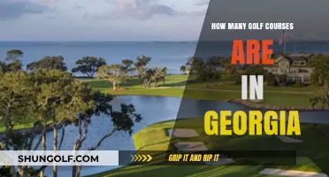 Exploring Georgia's Golf Scene: A Look at Course Numbers