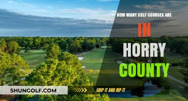 Exploring Horry County's Golf Scene: A Comprehensive Course Count