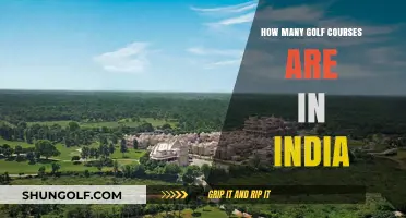 Exploring India's Golf Scene: A Look at the Number of Courses