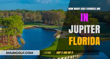 Exploring Jupiter, Florida's Golf Scene: Courses and Count Revealed