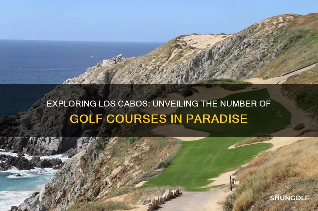 how many golf courses are in los cabos