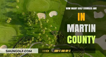 Exploring Martin County's Golf Scene: A Comprehensive Course Count