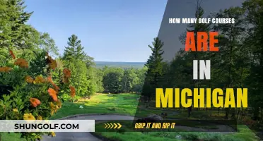 Exploring Michigan's Golf Scene: A Comprehensive Course Count Guide