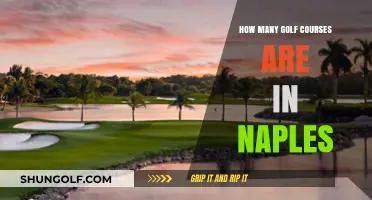 Exploring Naples' Golf Scene: A Comprehensive Count of Courses
