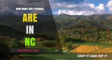 Exploring North Carolina's Golf Scene: A Count of Courses